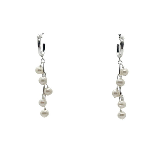 Silver Fringe Earrings